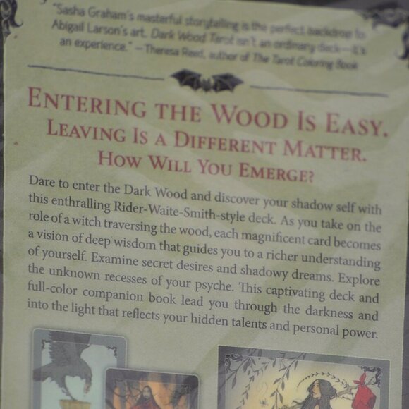 NWT Dark Wood Tarot by Sasha Graham Rider Waite Smith Style Tarot Cards Deck - Picture 3 of 4
